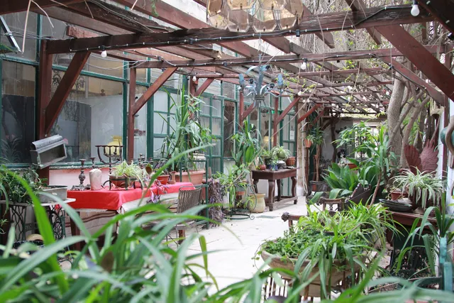 מלון צפניה ירושלים Tzefania Hotel Jerusalem