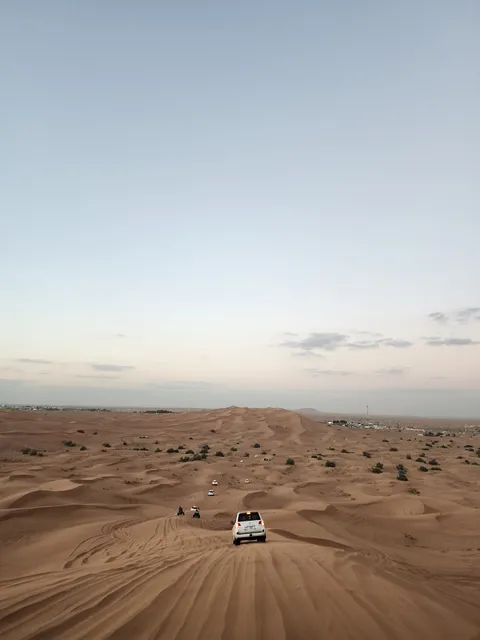 Safari Dubai Desert