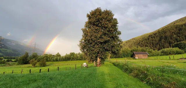 Apartment Fischerhof