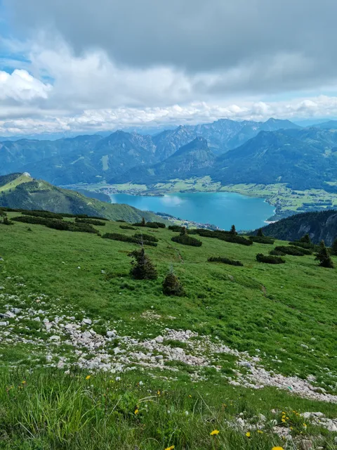 Schafberg Bahn Bergstation Schafbergspitze