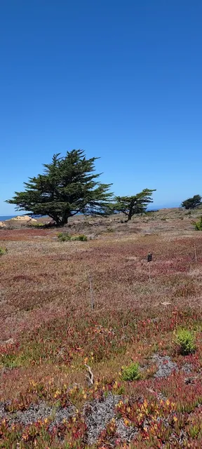 Fort Ord Dunes Trail