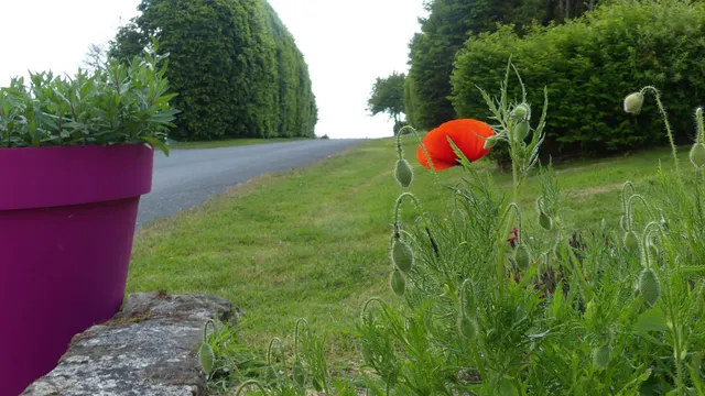 Gîte La Filonnière