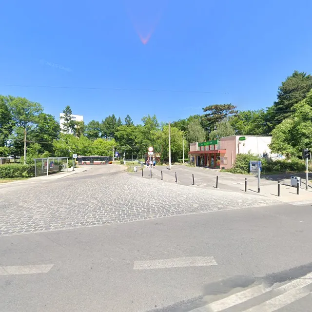 Adama Mickiewicza 100