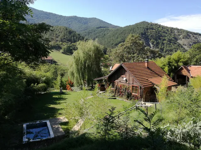 Брвнара Алексић