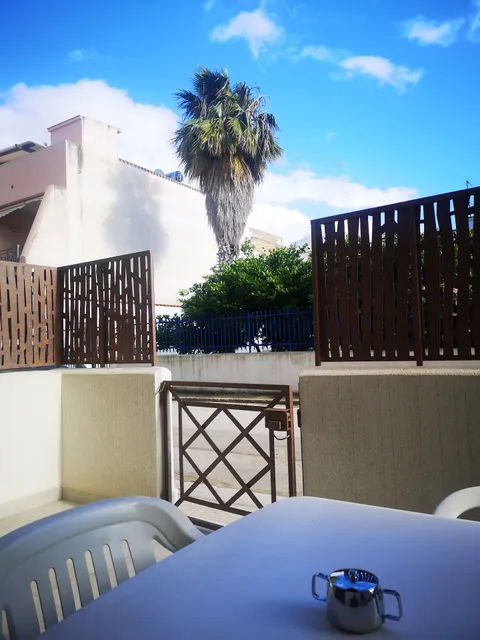 The Palme Conturrana