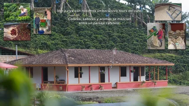 Tourcafeteroloscorrea