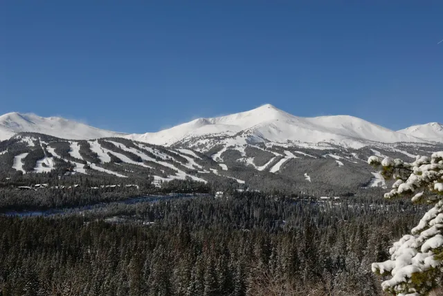 Alpine Meadows Property Management