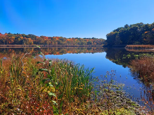 Cutler Park Reservation