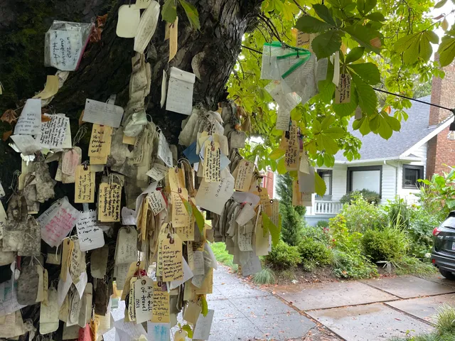 The Wishing Tree