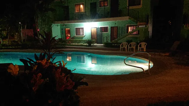 Green Forest of Coco Beach Studios