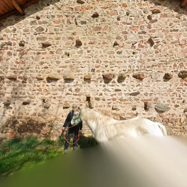 Gite / Chambre d'Hôte Des Benoits