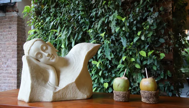 Soul Nest at Pyramid Valley