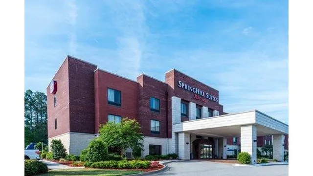 SpringHill Suites by Marriott Statesboro University Area
