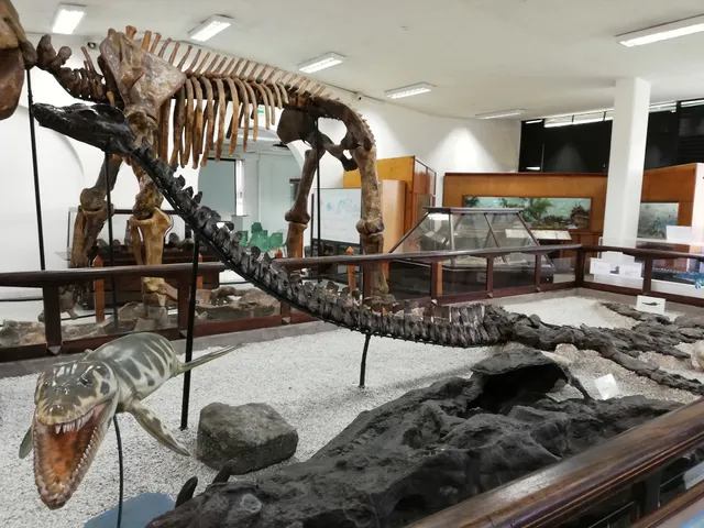 Museo Geológico Nacional del Servicio Geológico Colombiano -SGC