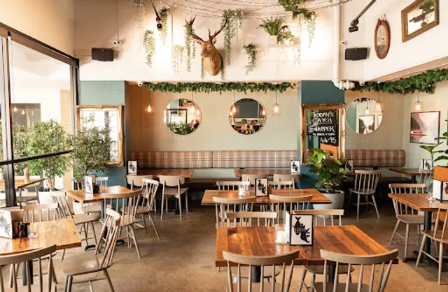 Salmon & Bear - Crows Nest