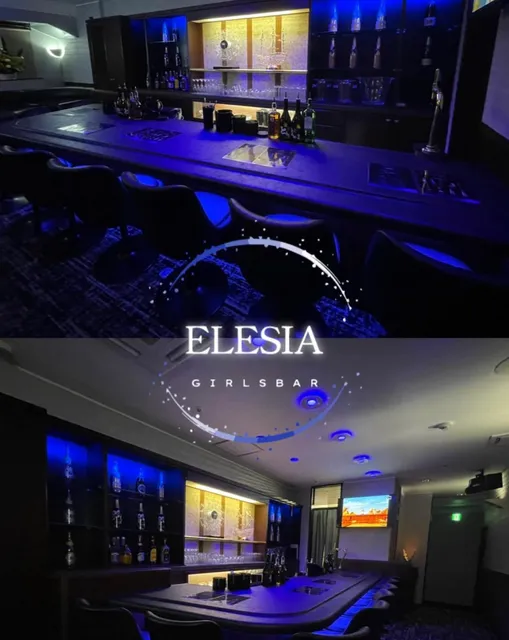 CAFE&GIRLSBAR ELESIA カフェ＆ガールズバー エレジア