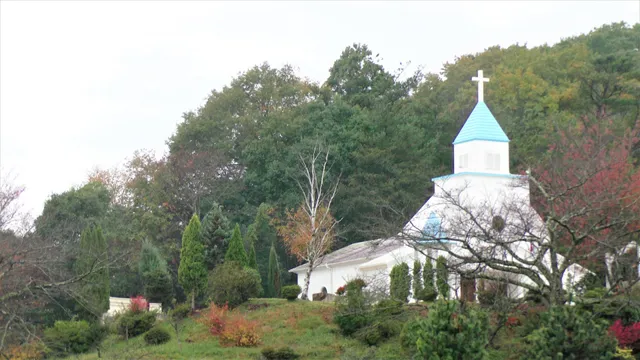 Hawaiians Hotel Wedding