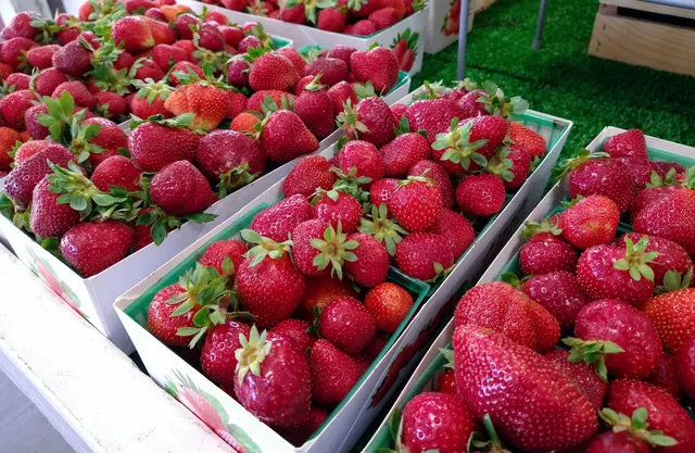 Lane Farms Produce Stand