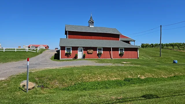 Randall-Standish Vineyards