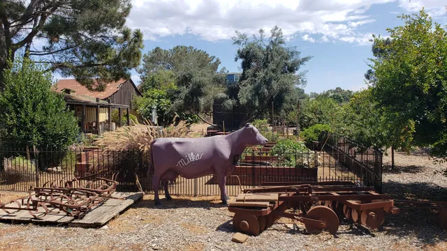 The Stein Family Farm