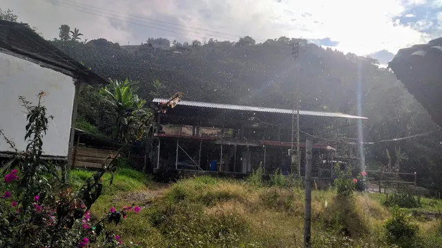 VEREDA EL ARROYO, VILLAMARÍA, CALDAS