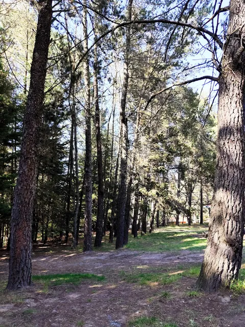 Resort IMSS Malintzi