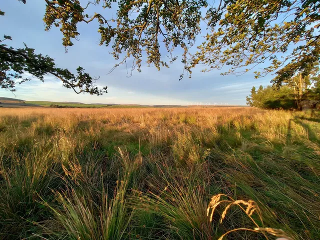 Torbeckhill Bungalow