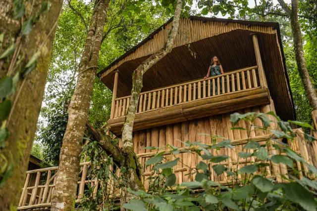 Buhoma Lodge - Bwindi Impenetrable Forest