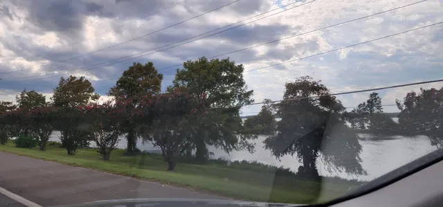 The Island at Lake D'Arbonne