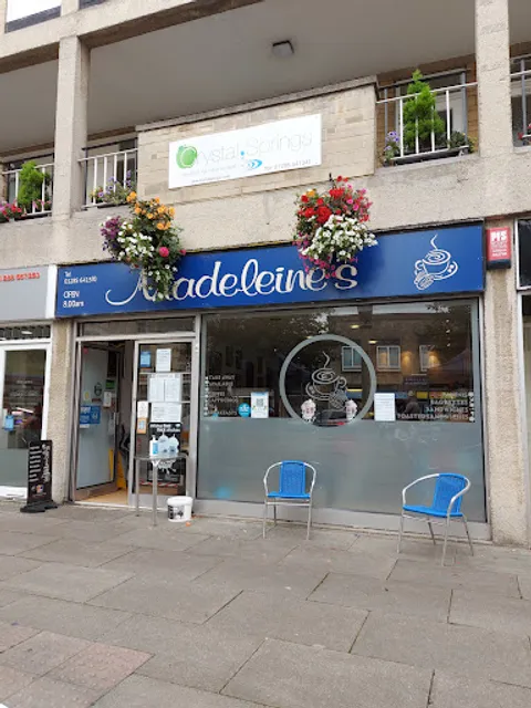 Madeleines