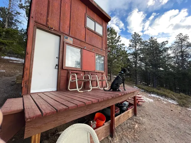 NEVERLAND Cabin Wilder