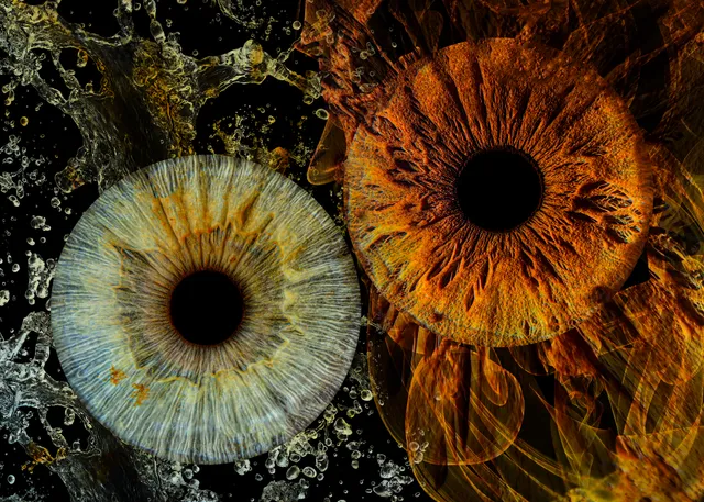 Uniqueye Iris Photography