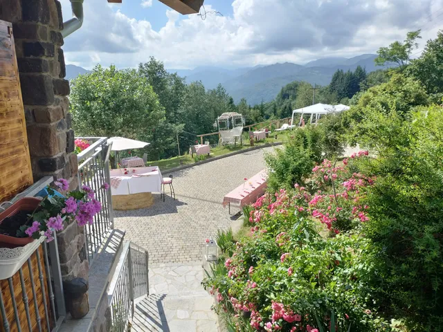 Alla tana del bianconiglio