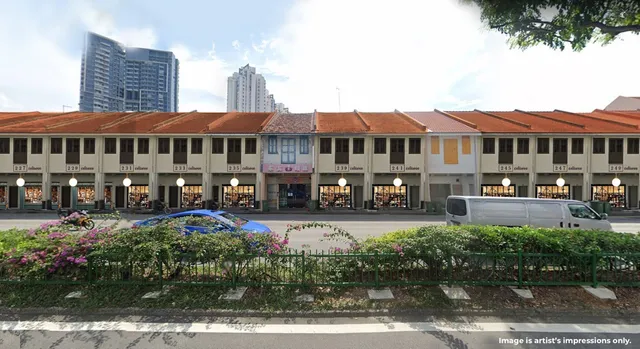 Coliwoo Lavender Collection