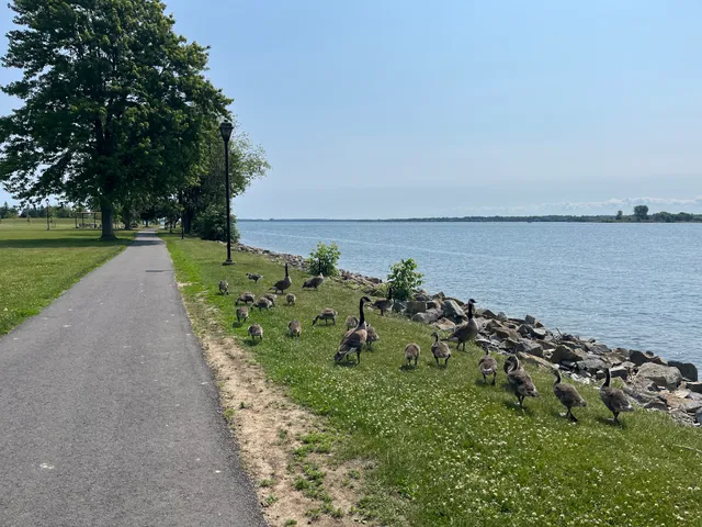 Morrisburg Waterfront Park