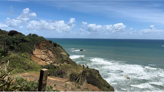 Muriwai Scenic Lookout