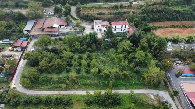 Azienda Agricola Zootecnica Soriente Di Soriente Guglielmo Areh & C. Sas