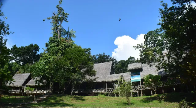 Jungle Wolf Expeditions