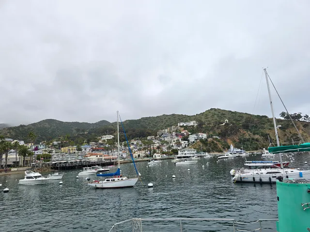 Avalon Bay