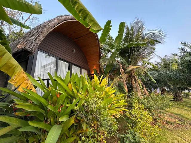 Pamela Minh Thuý Homestay