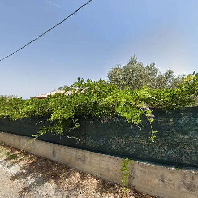 La Gabbianella E Il Gatto