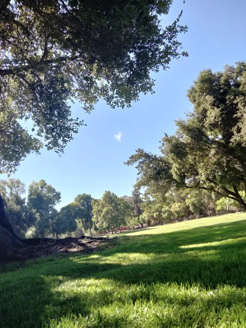San Lorenzo County Park