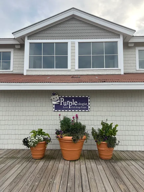 PURPLEologist Store