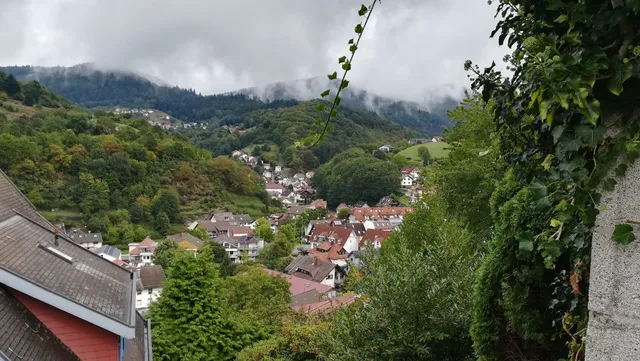 FERIENWOHNUNG Schwarzwaldblick