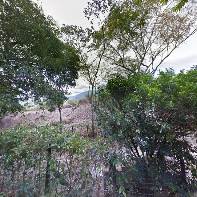 Parcelación Los Pinos