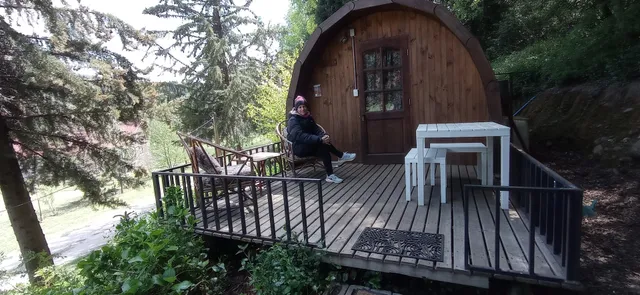 Cabañas RAHUE - Vilches