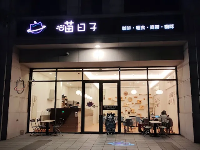 Meow day café