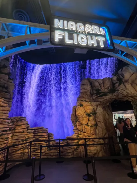 Niagara Takes Flight