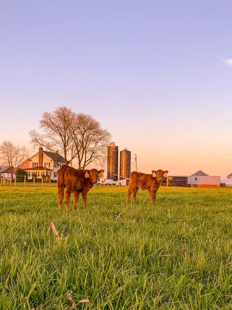 Sickler's Circle View Farm