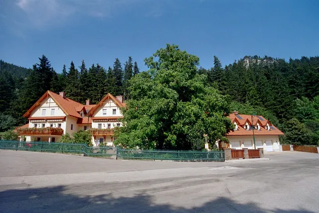 Haus Lenz - Ferienwohnungen